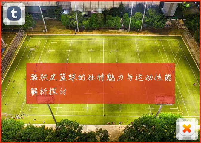 骆驼皮篮球的独特魅力与运动性能解析探讨