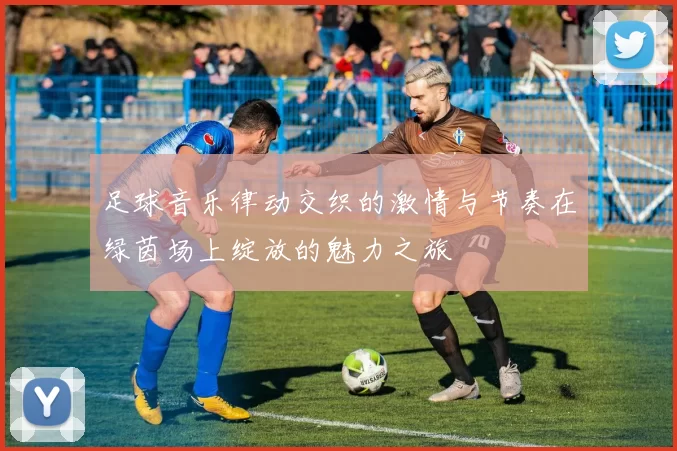 足球音乐律动交织的激情与节奏在绿茵场上绽放的魅力之旅