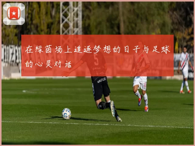 在绿茵场上追逐梦想的日子与足球的心灵对话