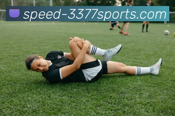 3377体育平台生态图