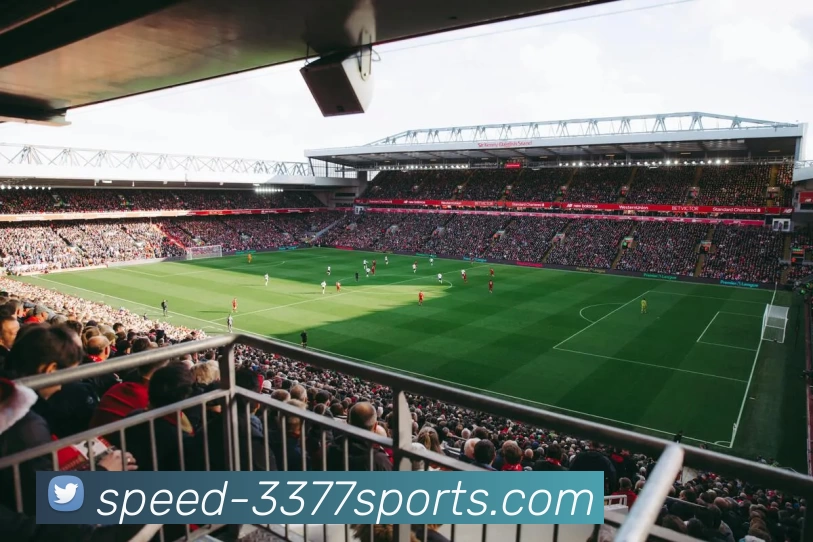 3377体育APP 封面图